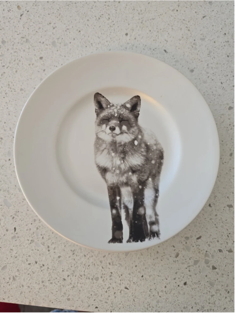 Pier 1 Imports Snow Forest Fox Accent Salad Plates Stunning Snow Flakes 3 pcs